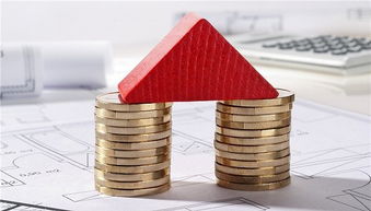 房產經紀人服務欠透明，十位借款人陷入財務困境